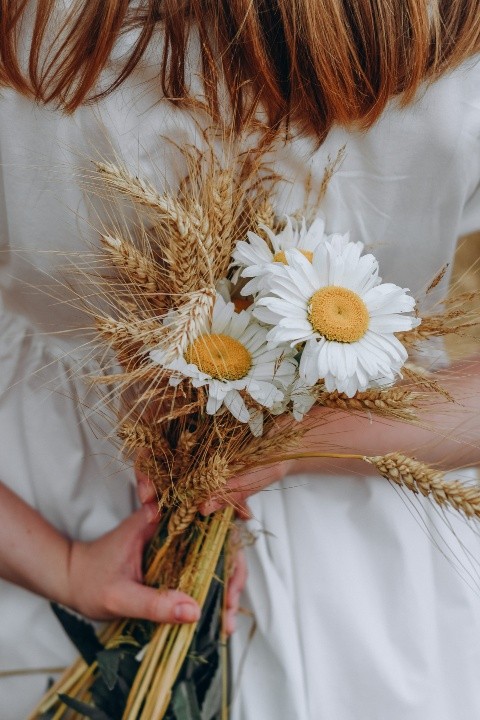 Las margaritas son una excelente opción para regalar este San Valentín a tu mejor amigx, pues simbolizan cariño y lealtad. UNSPLASH/ Raspopova Marina