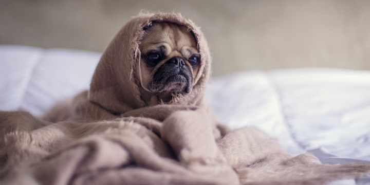 Lo importante de las vacaciones es disfrutar de un buen y merecido descanso. UNSPLASH/Matthew Henry