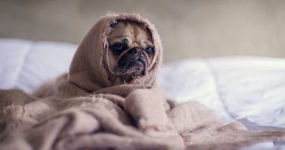 Lo importante de las vacaciones es disfrutar de un buen y merecido descanso. UNSPLASH/Matthew Henry