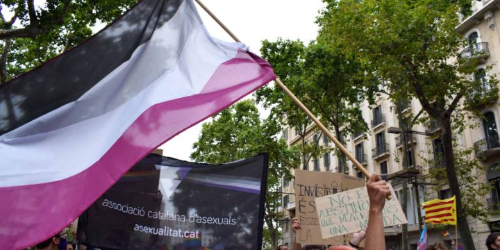 Famosxs asexuales que reividican su identidad en el Día Internacional de la Asexualidad. ESPECIAL / Asociación Catalana de Asexuales (ACA)