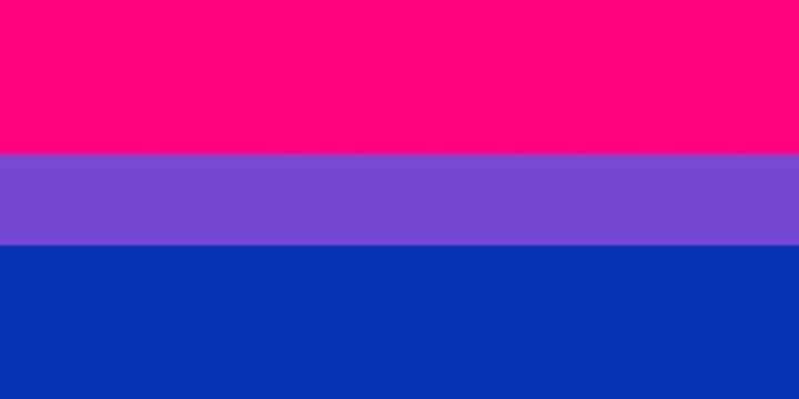 La bandera bisexual representa la atracción hacia el mismo género, los géneros opuestos y la bisexualidad en sí. Concepto.de