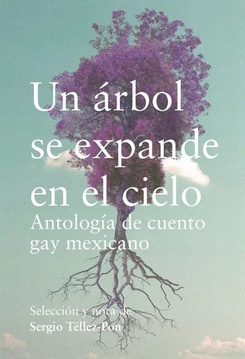  El libro está compuesto por diecisiete cuentos de diecisiete distintos autores. Egales