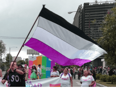 Objetivos dentro del marco de la "Semana de la Visibilidad Asexual". FACEBOOK/Visibilidad Asexual Guatemala