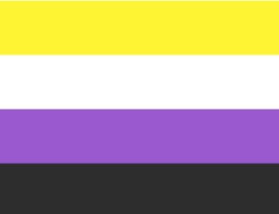 La bandera no binaria fue creada en 2014 por Kyle Rowan, pensando en acompañar a la bandera genderqueer. Instagram/@resistencia_no_binarix