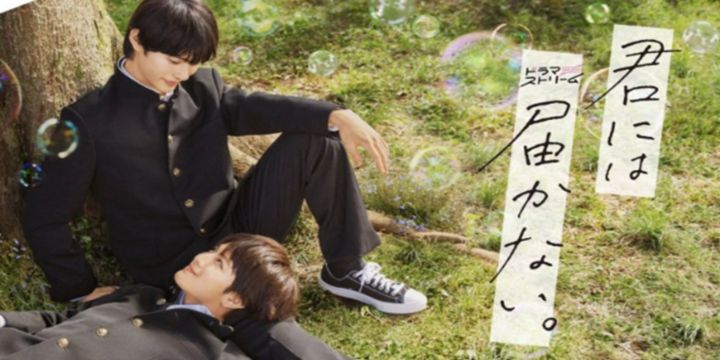 Aunque esta serie BL fue la primera incursión en el género para Haru Kashiwagi, Kentaro Maeda ya había participado en otra popular serie BL japonesa. MyDramaList