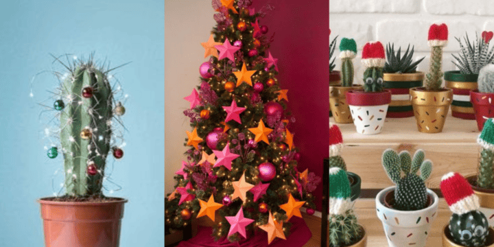 ¡Queridx amigx! Esta navidad atrévete a decorar tu hogar con estas plantas y dale un toque especial a cada rincón. PINTEREST