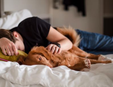 La decisión de compartir la cama con tu perro debe basarse en el bienestar de ambxs. UNSPLASH/Jamie Street