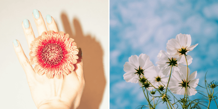 Con estos increíbles diseños podrás deslumbrar esta primavera 2024. UNSPLASH/Yoko Saito/Mink Mingle