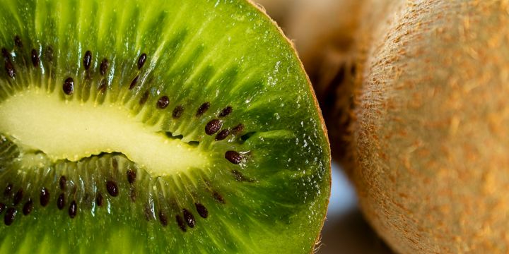 La Universidad de Harvard, entre otros factores, señala que entre las causas que dificultan la conciliación de un sueño reparador aparece la falta de algunas vitaminas y fibras, siendo ideal el kiwi. UNSPLASH/Sara Cervera