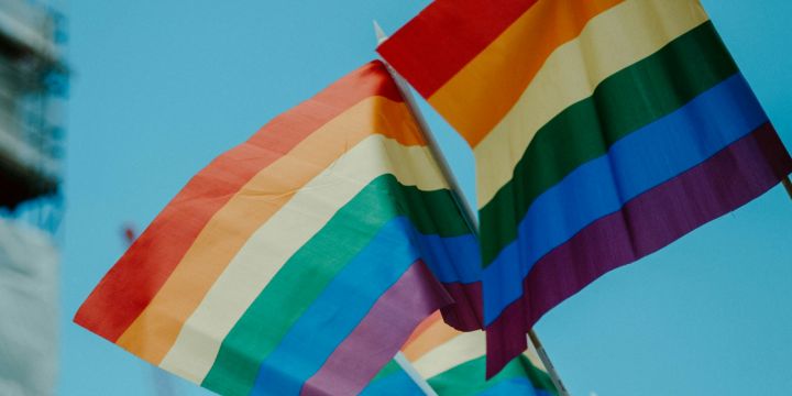 La polémica alrededor de la "ideología de género" en El Salvador se da al mismo tiempo que en Argentina el Gobierno de Javier Milei prohibirá el lenguaje inclusivo y la perspectiva de género en la administración pública nacional. UNSPLASH/daniel james