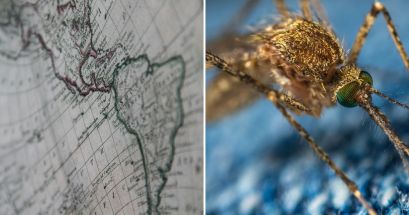 Diferentes países de América del Sur registran preocupante aumento de casos de dengue. UNSPLASH/Leon Overweel / Егор Камелев