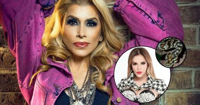 Tras malos entendidos y dispares conversaciones las celebridades mexicanas y divas LGBT+ se encuentra distanciadas. INSTAGRAM/@dulcelacantante/@luciamendezof | UNSPLASH/David Clode